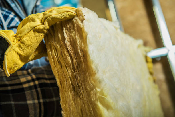 Best Insulation Installation Services in Tuckahoe, VA