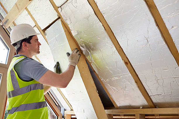 Best Insulation Maintenance and Repair in Tuckahoe, VA